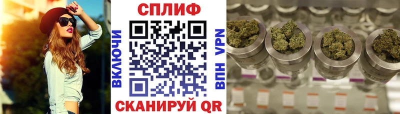 Каннабис OG Kush Томск